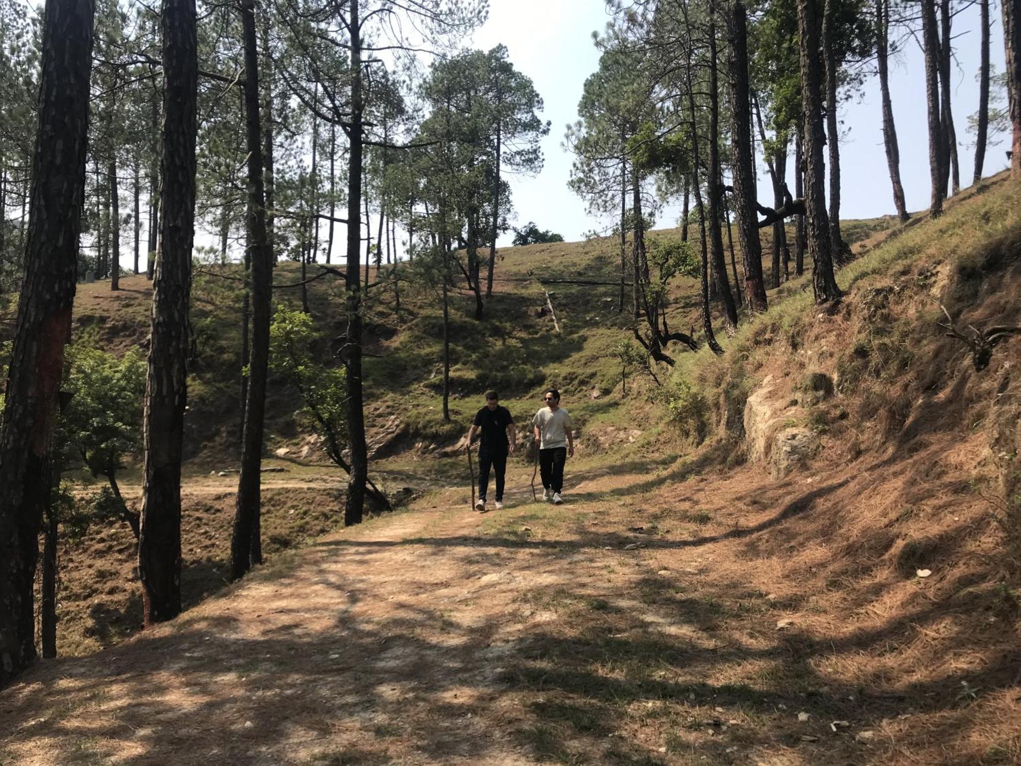 Simba Jungle Lodge, Binsar Wildlife Sanctuary المظهر الخارجي الصورة