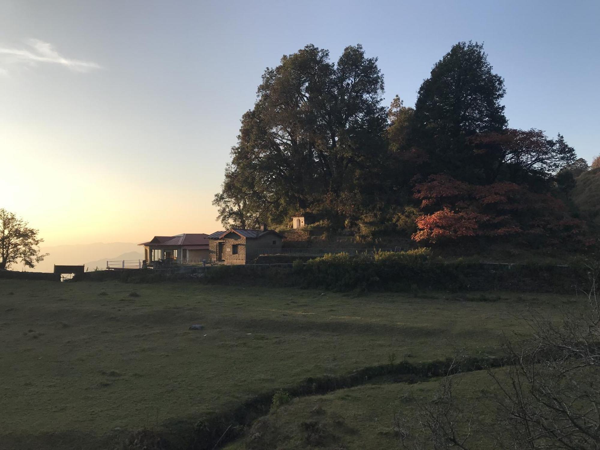 Simba Jungle Lodge, Binsar Wildlife Sanctuary المظهر الخارجي الصورة
