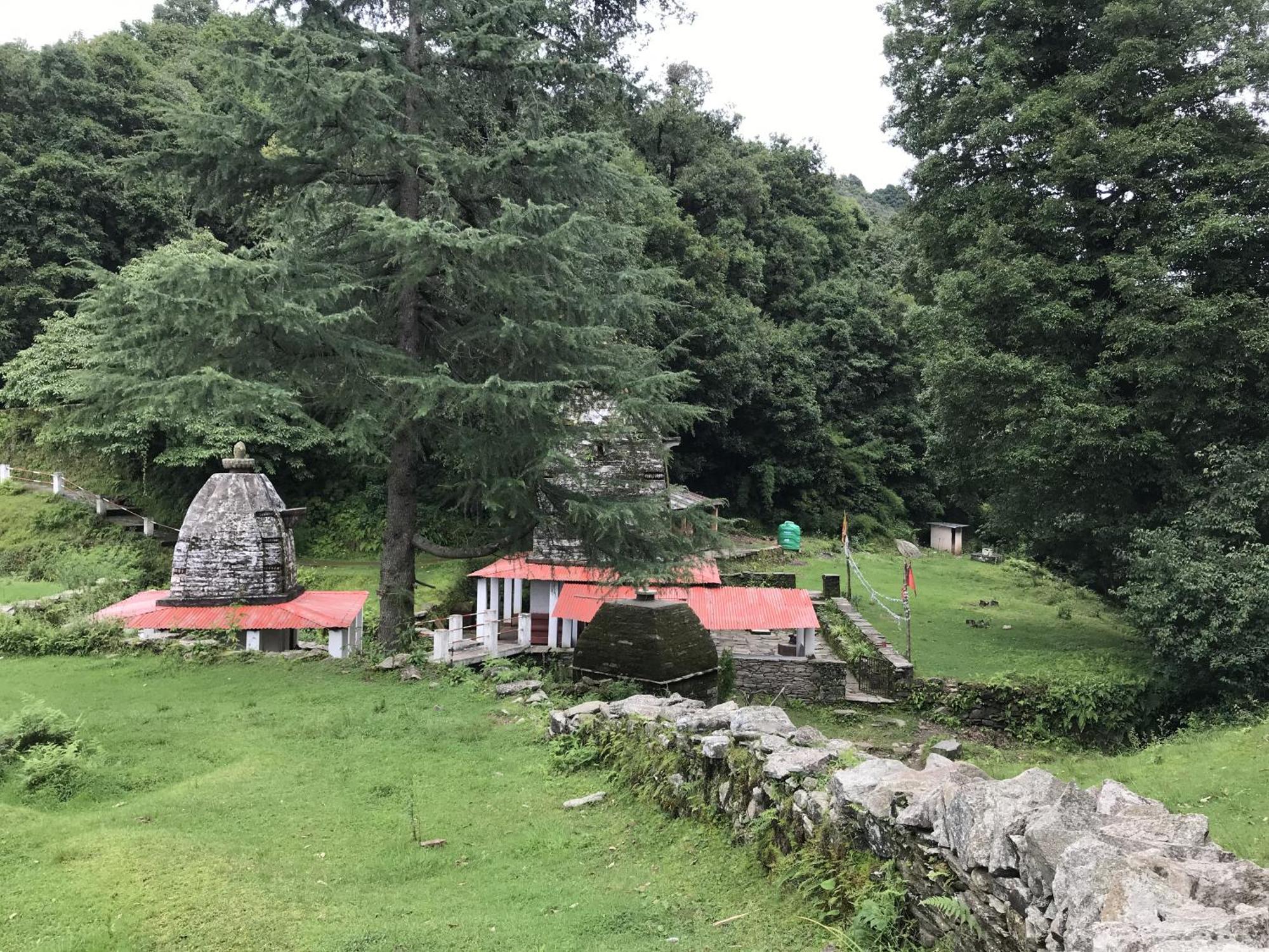 Simba Jungle Lodge, Binsar Wildlife Sanctuary المظهر الخارجي الصورة