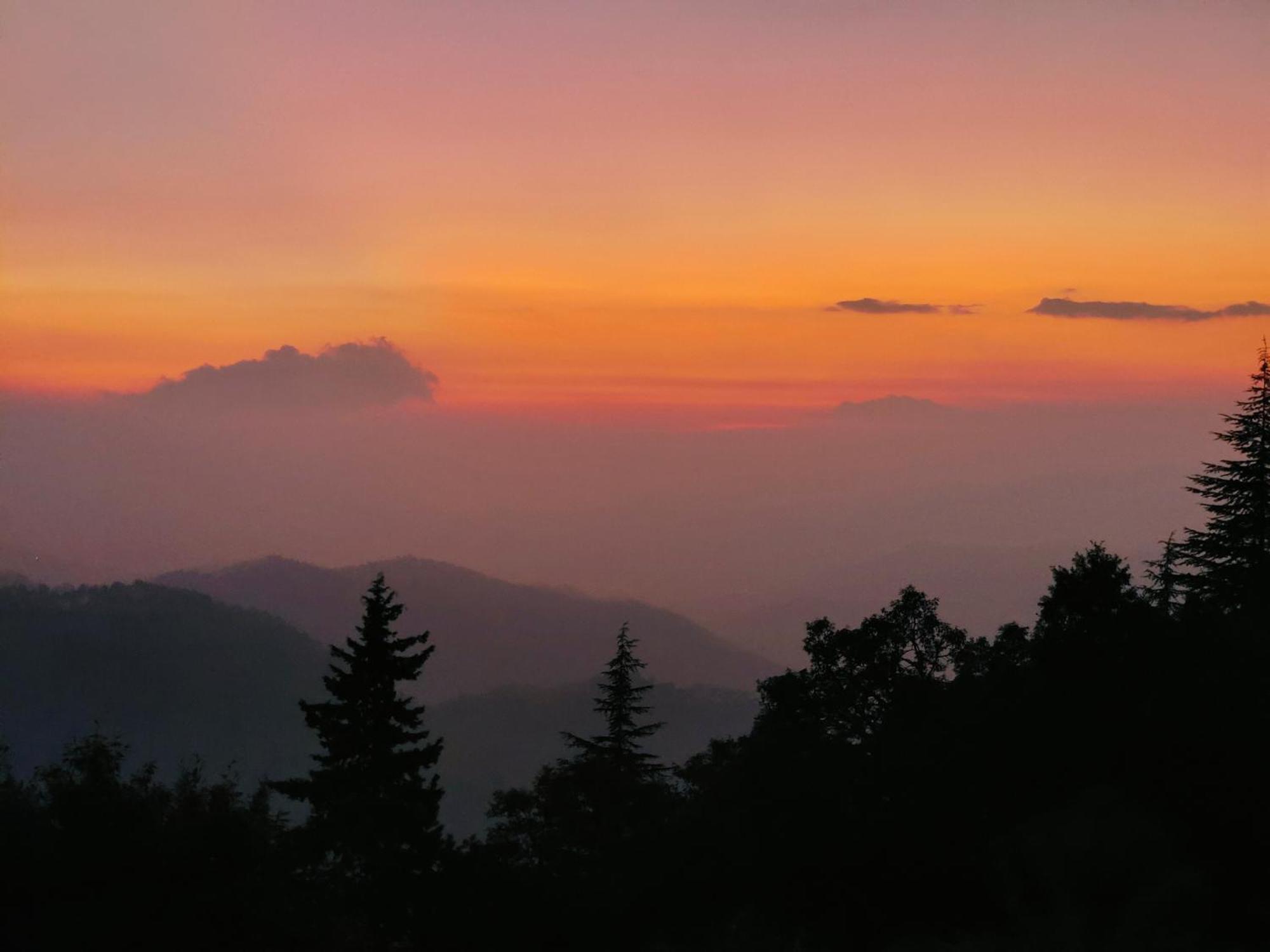 Simba Jungle Lodge, Binsar Wildlife Sanctuary المظهر الخارجي الصورة