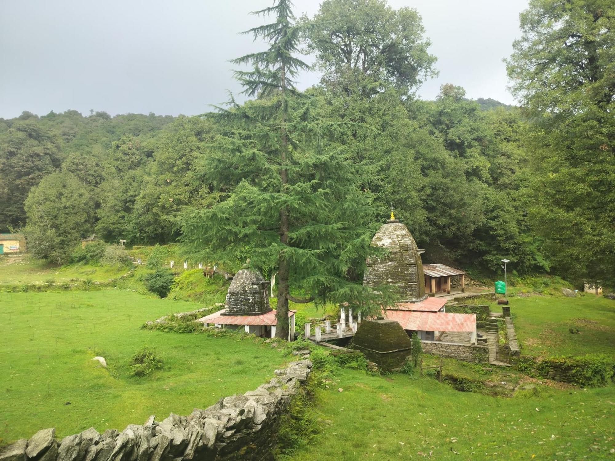 Simba Jungle Lodge, Binsar Wildlife Sanctuary المظهر الخارجي الصورة
