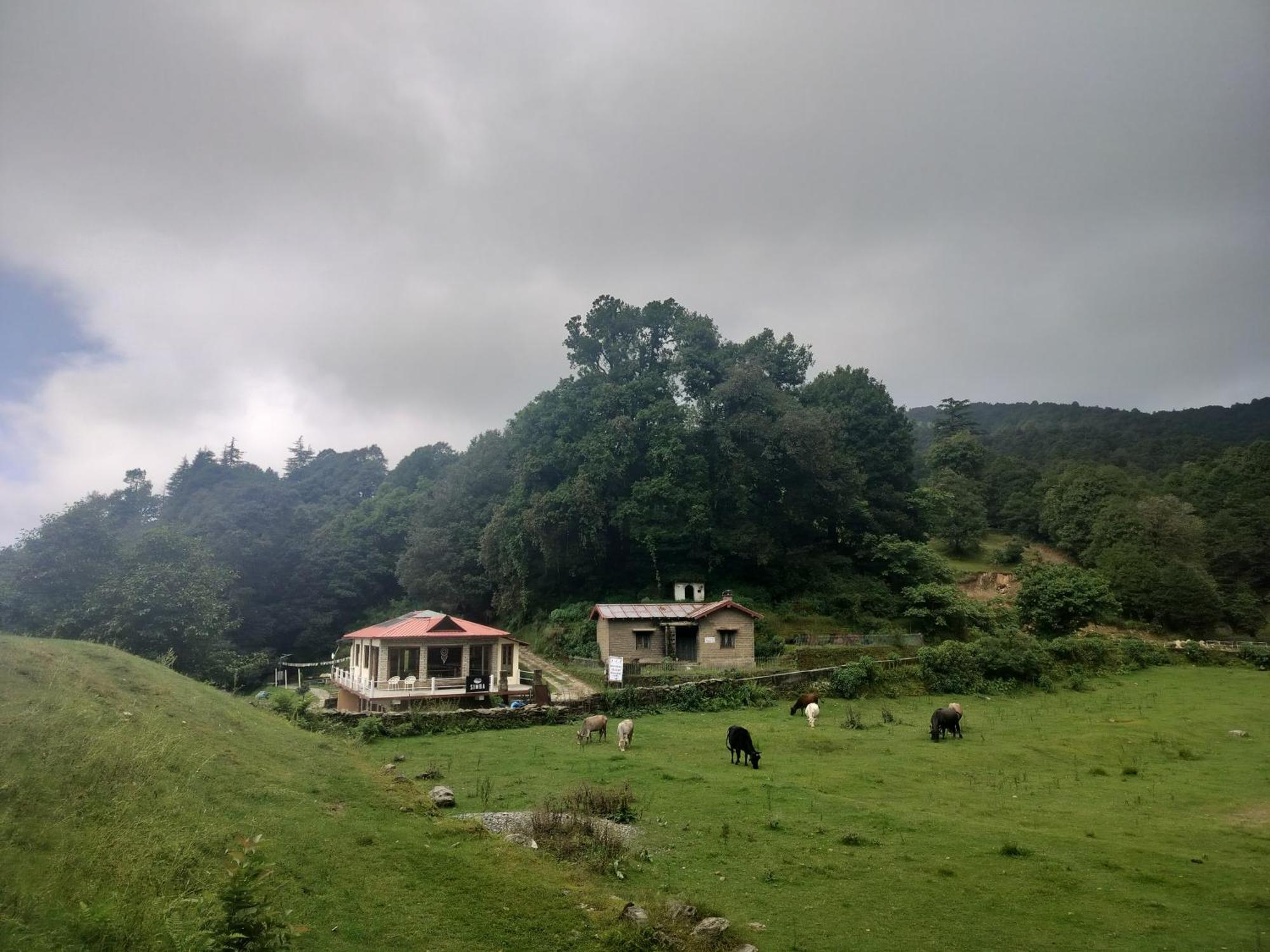 Simba Jungle Lodge, Binsar Wildlife Sanctuary المظهر الخارجي الصورة